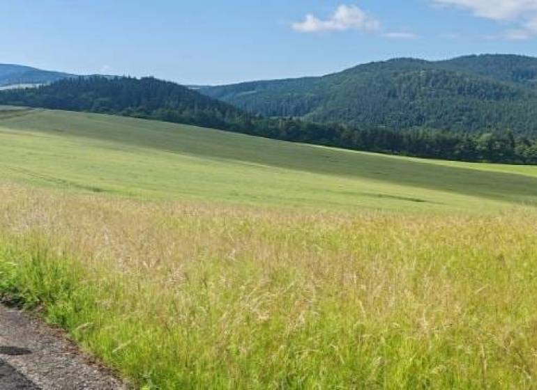 Gyönyörű rétek és mezők, amelyek alkalmasak telkekre - lakóhely Králikoch-ban, zöld táj a horizonton.