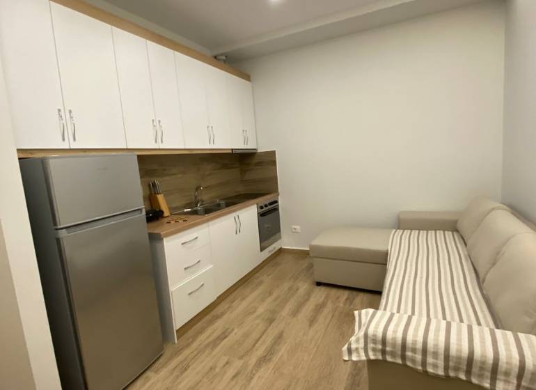 Rekreációs apartman konyhával, hűtőszekrénnyel és kényelmes kanapéval a fa padlón.