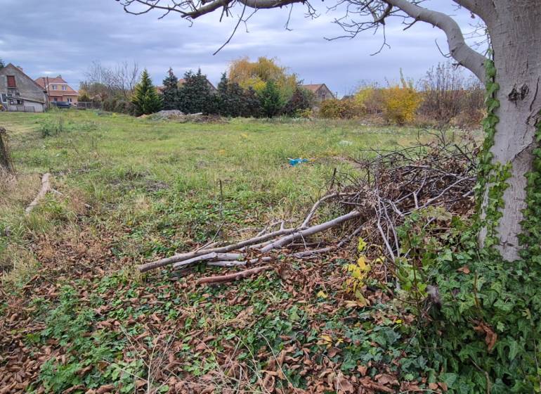 Egy lakhatásra alkalmas telek Tardoskedden, fákkal és zölddel körülvéve.