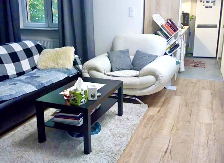 Nappali egy egyszobás lakásban fa dekor padlóval és kényelmes ülőhellyel.