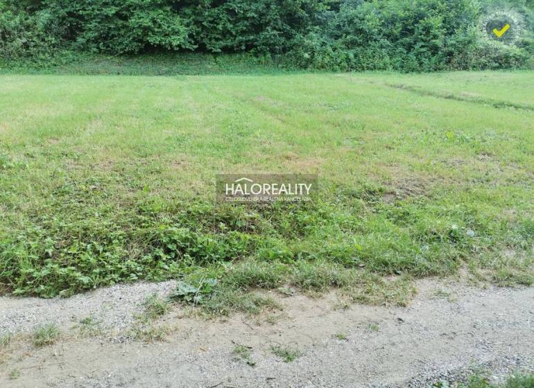 Pozemky - lakóhely Modrovában magukban foglalják az erdő melletti füves területet úttal.