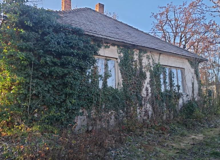 Ház Suhán (Suchá nad Parnou) borostyánnal benőve és környező növényzettel.