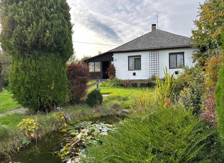 Családi ház Kalsa-ban gyönyörű kerttel és kis tóval, amelyet zöld növényzet vesz körül.