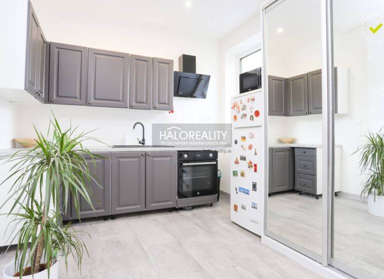 Konyha egy kétszobás lakásban fehér falakkal, szürke szekrényekkel és egy növénnyel.