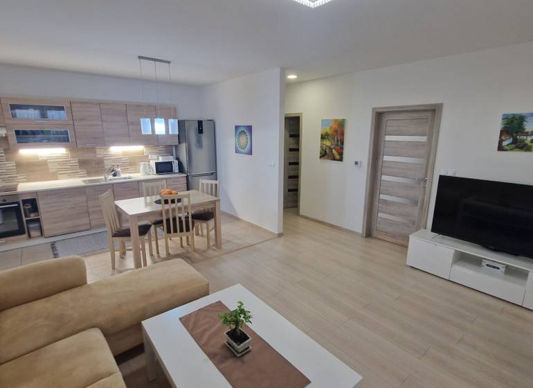 Nappali konyhával, fa hatású padló, étkezőasztal, kanapé, TV állvány.