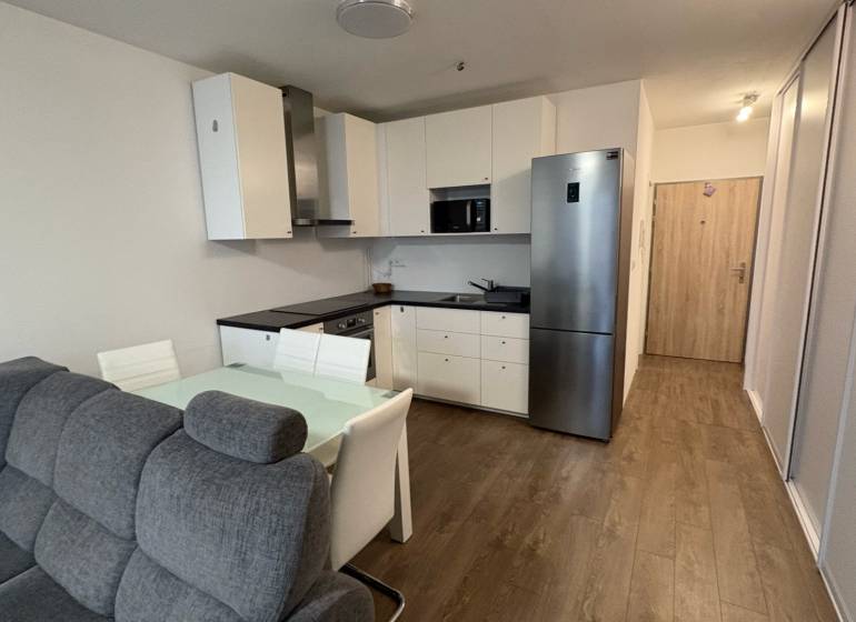 Nappali konyhával, kanapéval és fa dekorációjú padlóval egy egyszobás lakásban.