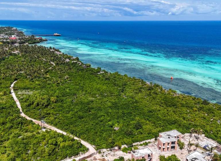 Kilátás a tengerparti ingatlanokra - kereskedelmi célú Kizimkazi területén, óceáni kilátással.