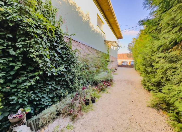 Családi ház kertje Betlérben gazdag növényzettel és virágdíszekkel.