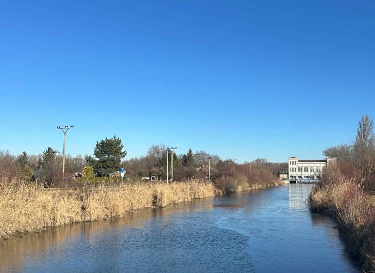 Egy nádasokkal körülvett folyó az Újtelepi Kertekben Komáromban a kék ég alatt.