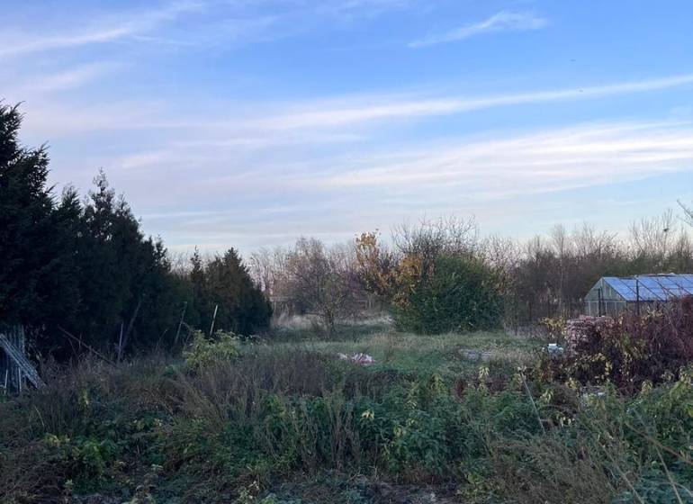 Családi ház kertje Kajalon zölddel és kék éggel.