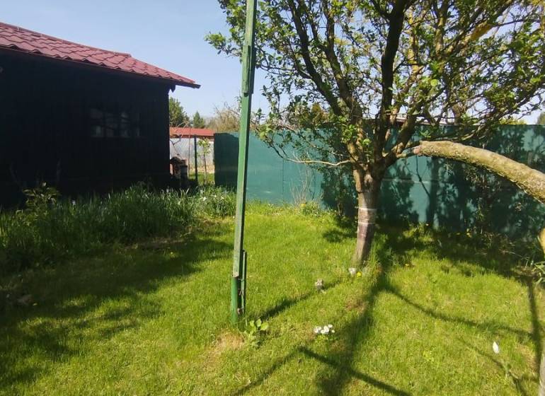 Kertek Sároson gyepes területtel, fával és fonott kerítéssel napsütéses időben.