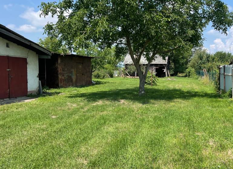 Kert fából készült fával és épülettel a háttérben Zemplínska Širokában. Telkek - lakóövezet.