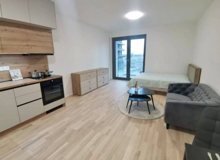 Konyhapult, ágy, kanapé és fa dekorációjú padló az egyszobás lakásban.