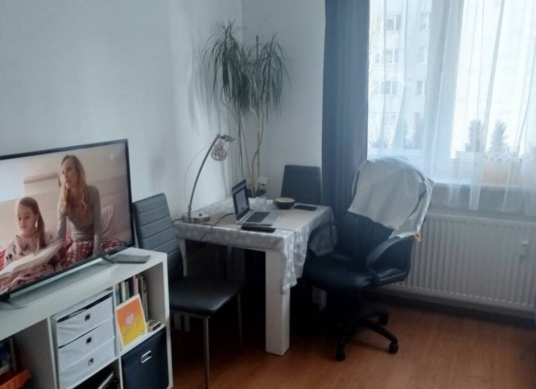 Garzonlakás asztallal, székekkel, könyvespolccal és televízióval; fa dekorációjú padló.