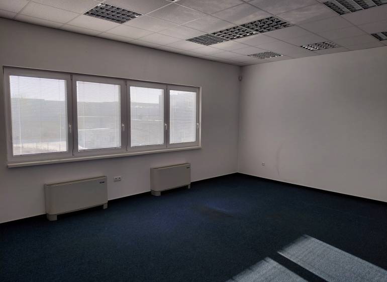 Raktárak és csarnokok belső tere kék szőnyeggel, nagy ablakokkal és fehér falakkal.