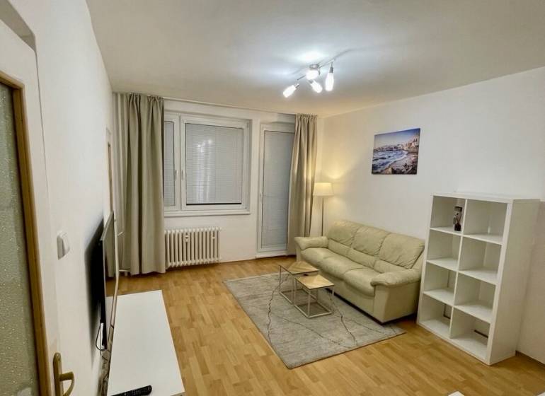 Nappali kanapéval, televízióval és fa dekorációjú padlóval egy egyszobás lakásban.