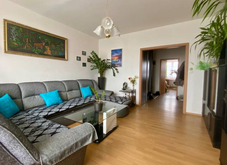 Nappali egy háromszobás lakásban kanapéval, fa dekorációjú padlóval és dekorációkkal.