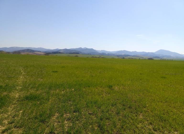 IMG_20210428_111953 (2).jpg