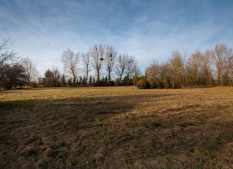 Mezőgazdasági földterület Stupaván, a Stupava utcában, alkalmas kereskedelmi célú telkek számára.