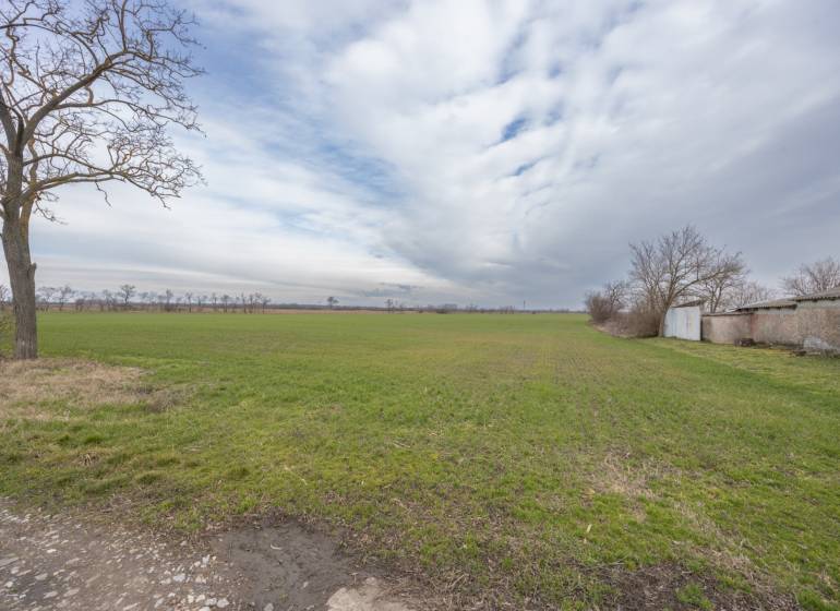 Zöld lakótelek Jatovban, a Jatov utcában, csupasz fákkal.