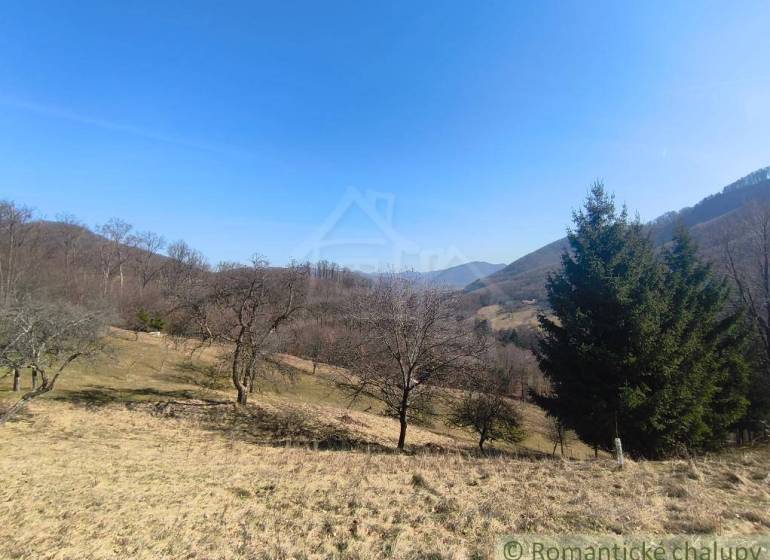 Természetes táj Nová Baňa környékén fákkal és dombokkal a Záhradyn.