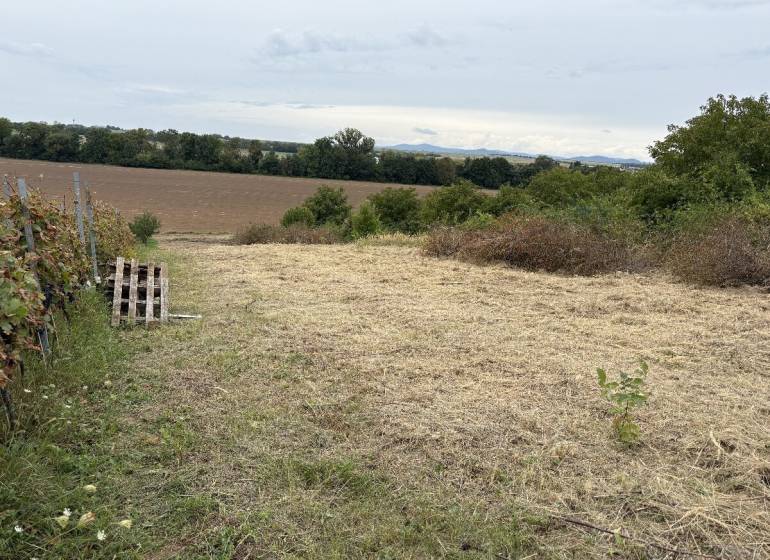 A Zvoncsini kertek kilátást nyújtanak a Zvoncsin környéki rétekre és mezőkre.