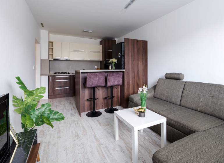 Nappali konyhával, kanapéval, bárpulttal és fa dekoros padlóval egy kétszobás lakásban.