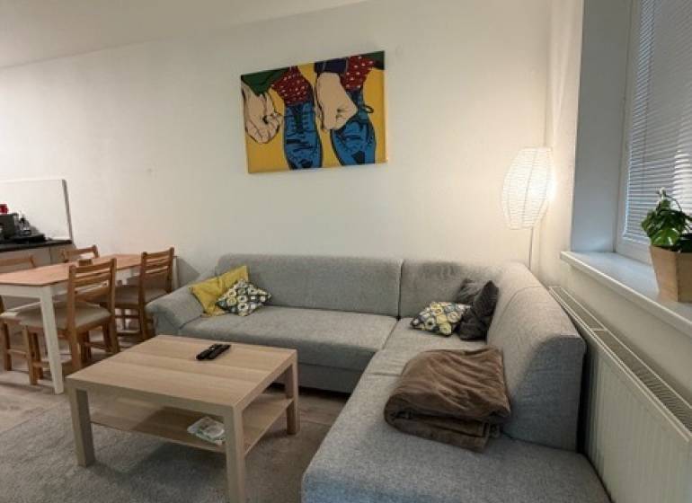 Világos nappali sarokkanapéval és művészettel egy kétszobás lakásban.