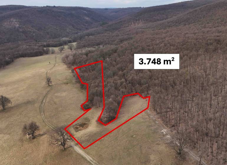 Mezőgazdasági és erdőterületek Príbelce környékén, 3.748 m²-es területtel megjelölve.