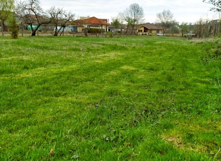 Zöldterületek és házak Horné Kráľovában, alkalmasak lakóingatlanok számára.