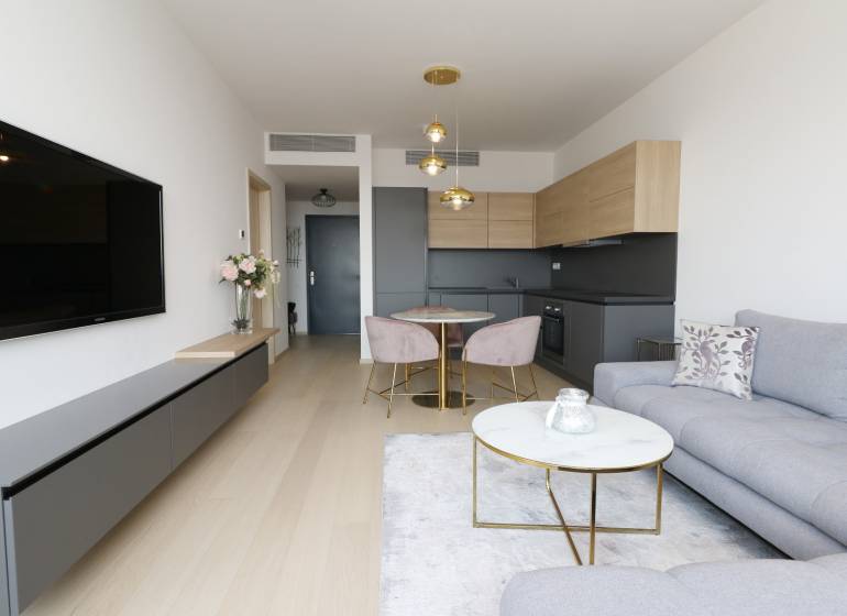 2 szobás lakás fa mintázatú padlóval, szürke kanapéval és minimalista konyhával.