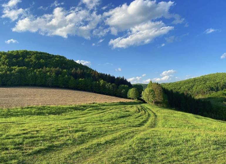 Gyönyörű zöld mezőgazdasági és erdőterületek Alsókočkovceban a tiszta kék ég alatt.