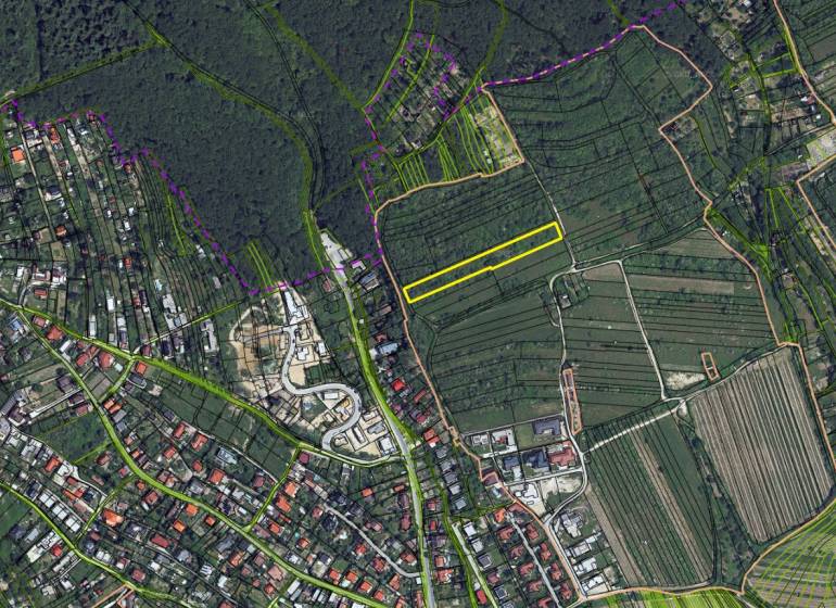 Szőlőültetvények légi felvétele Pozsony-Rača területén, konkrétan a Fongová utca környékén.