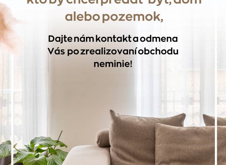 Világos nappali kényelmes kanapéval és növénnyel, 2 szobás lakás fa dekor padlóval.