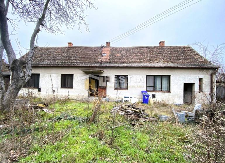Egy régi családi ház felújításra vár, a kertben vad növényzet és rendetlenség van.
