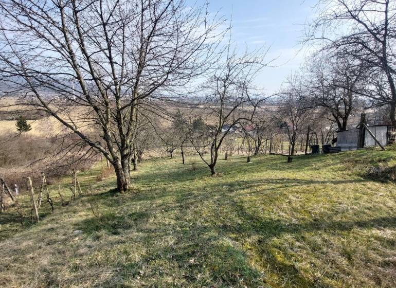 Szőlőskert Aranyosmaróton kilátással, fákkal és füves területtel.