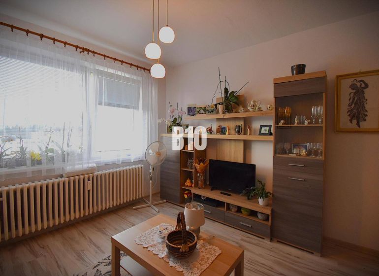 Nappali bútorokkal és dekorációkkal a nyaraló apartmanban, fa mintás padlóval.