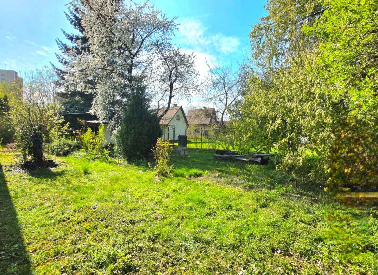 Kassai-Széplakban, az 1. május utcai kertek gyepesítve és gyümölcsfákkal beültetve.