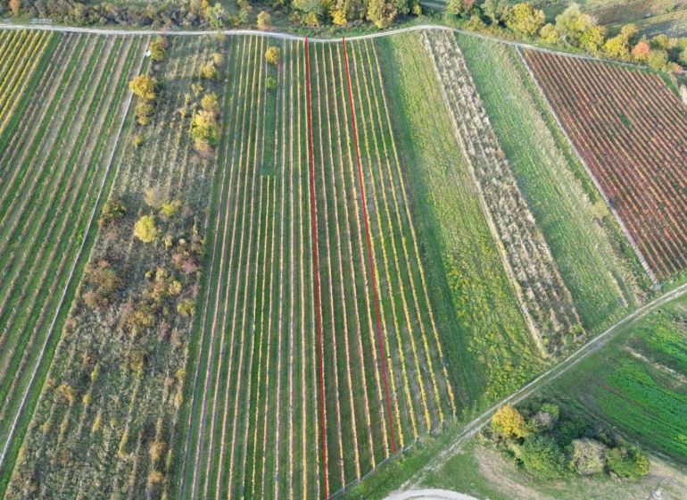 dji_fly_20251019_163556_166_1760884826968_photo.jpg