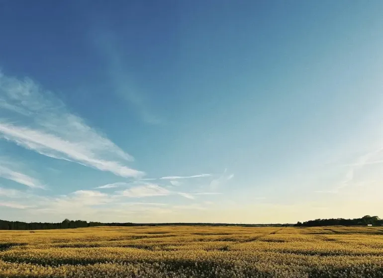 Mezőgazdasági és erdőterületek Csejteben, mező az éggel és felhőkkel a horizonton.