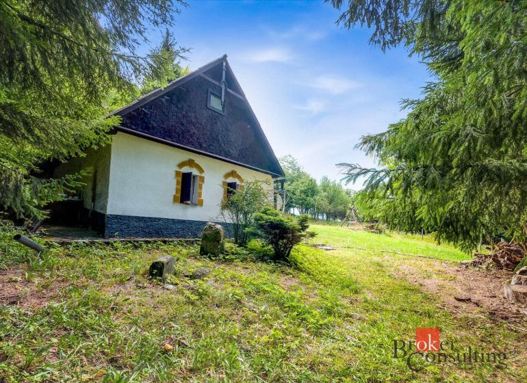 Házikó Pílán, zölddel és tűlevelű fákkal körülvéve, ideális a pihenésre.