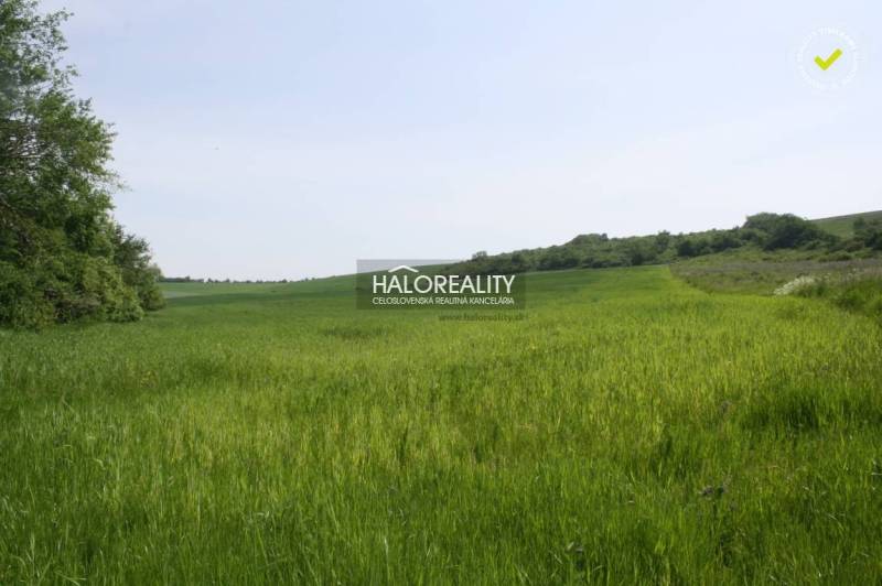 Rozhanovce Mezőgazdasági és erdei telkek eladó reality Košice-okolie