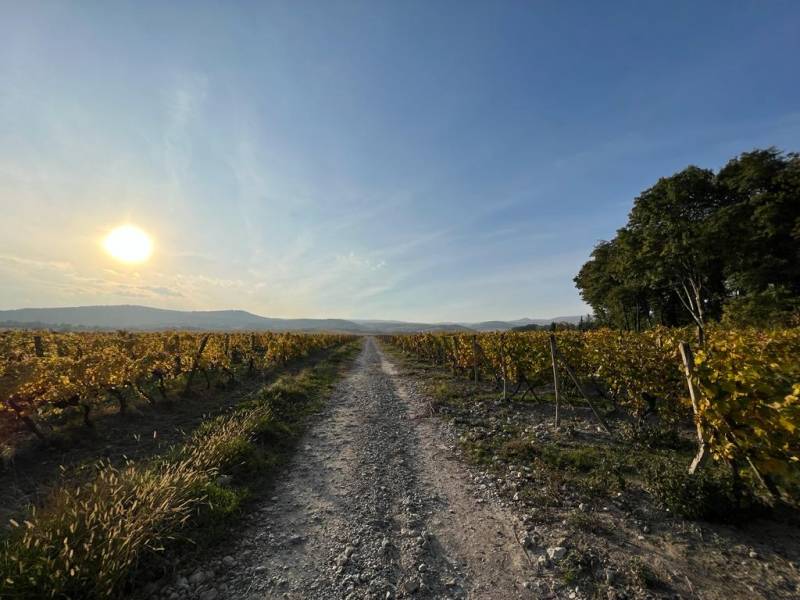 Okolie projektu.jpeg