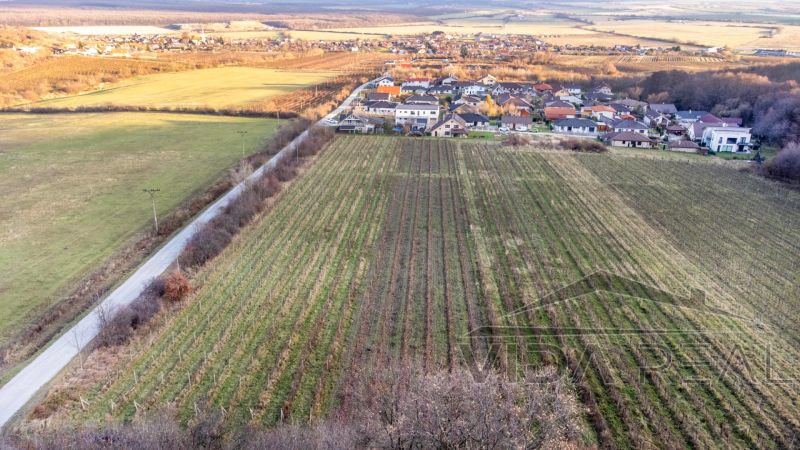 Mezőgazdasági és erdőterületek a Dubová-i Novosad utca mentén.