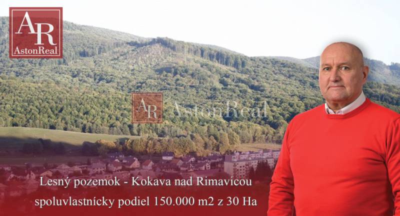 Ponuka lesného pozemku na ulici Kokava nad Rimavicou blízko poľnohospodárskych a lesných pozemkov.