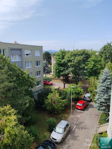 Gagarinova utca Szencen zölddel és parkoló autókkal a 3 szobás lakásnál.