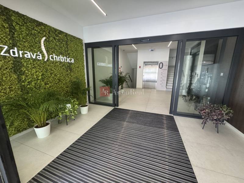 Recepció irodákban növényekkel és 