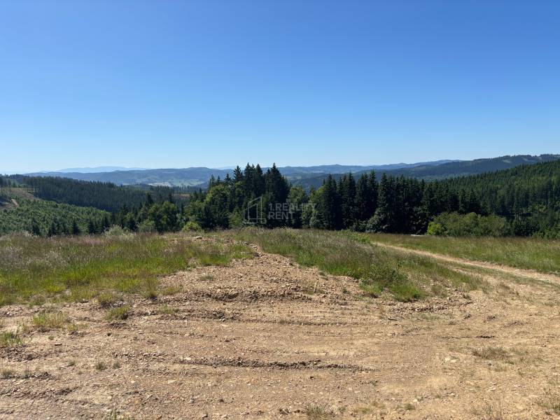 Kiterjedt lakóterületek Olešnában, panorámás kilátással az erdőkre és dombokra.