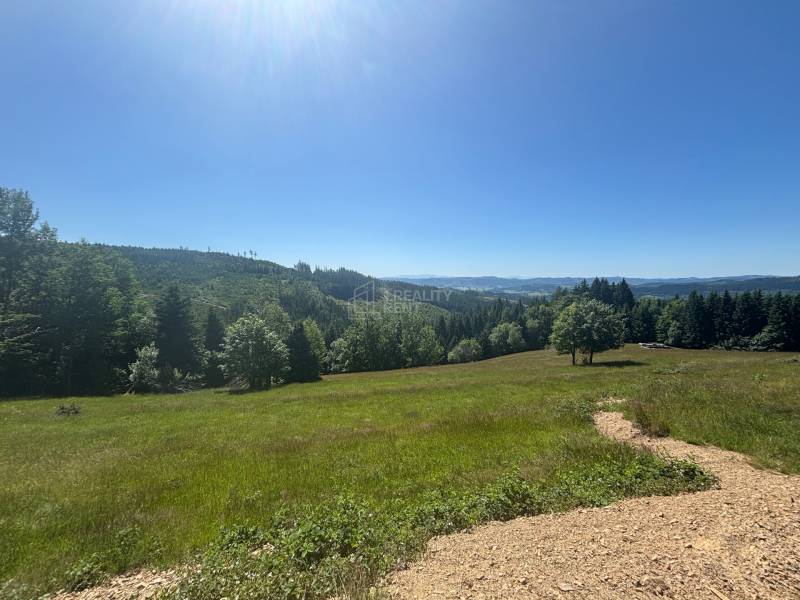 Lakóterületek Olešnában, erdőkkel körülvéve, panorámás kilátással a dombokra.