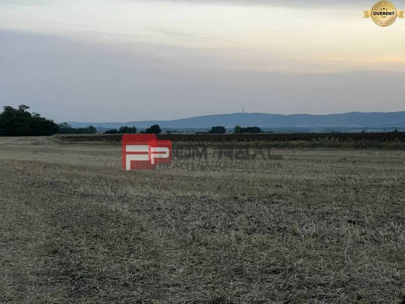 Kilátás a mezőgazdasági és erdőterületekre a Senecká utcán naplementekor.